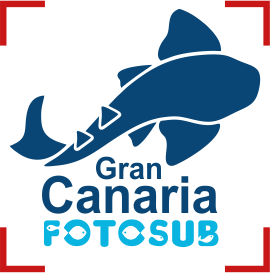 Open Fotosub Gran Canaria